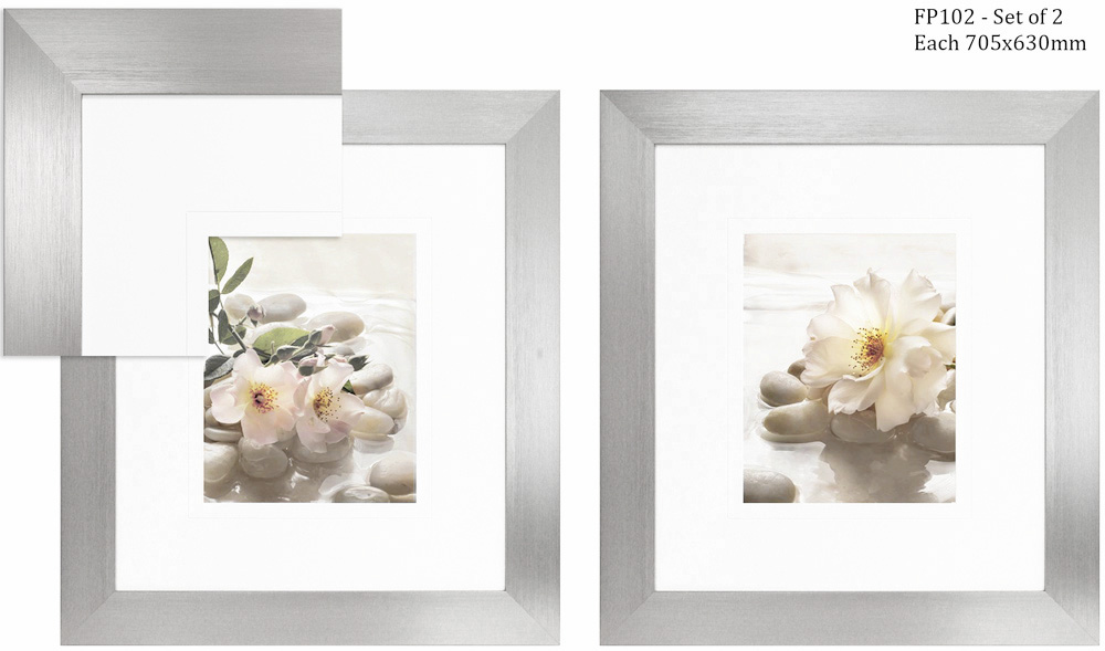 FP102 Wall décor art framed print floral set of 2 silver frame